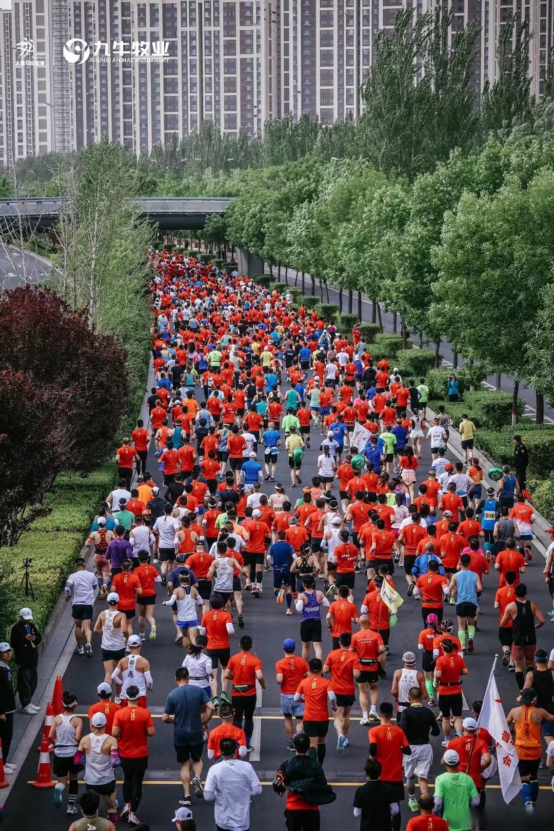 详细阅读:马拉松为什么是42.195公里(马拉松距离为什么是42195km) 马拉松为什么是42.195公里(马拉松距离为什么是42195km)